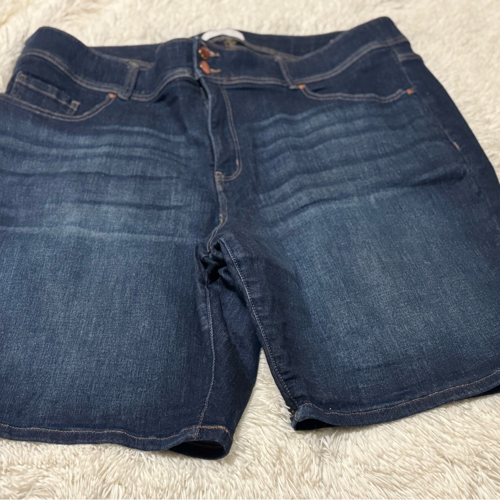 Lane Bryant Blue Jean Shorts Classic Denim Style